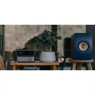 WiiM Vibelink Amp - Grey WiiM Vibelink Amp - Grey