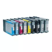 Epson T6027 (C13T602700) - cartridge, light black (světle černá)